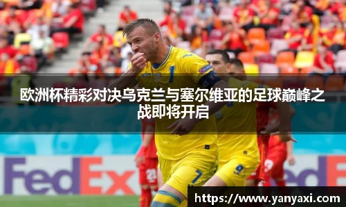 XK星空官网
