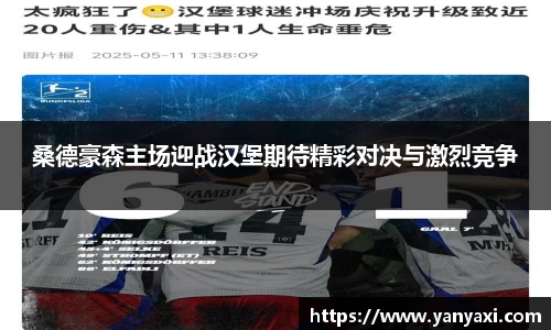 桑德豪森主场迎战汉堡期待精彩对决与激烈竞争